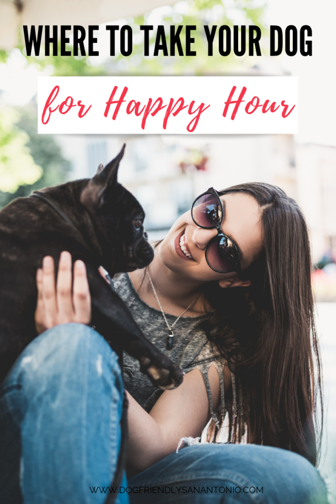 women with sunglasses holding dog at happy hour