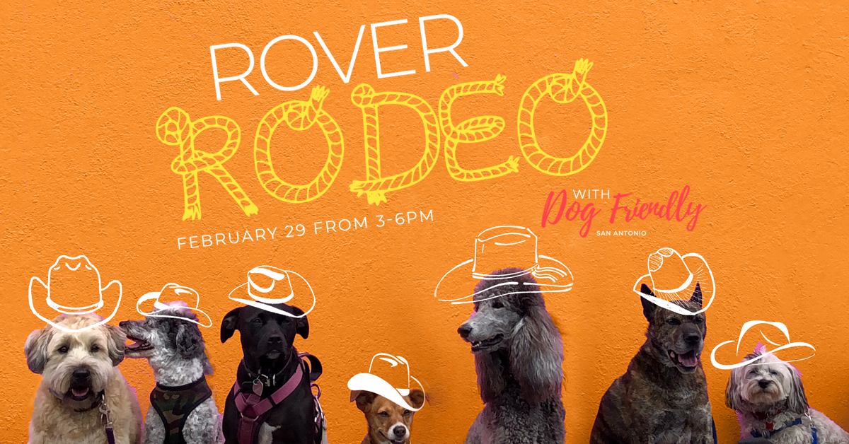 dogs with cowboy hats drawn on their heads, caption reads rover rodeo