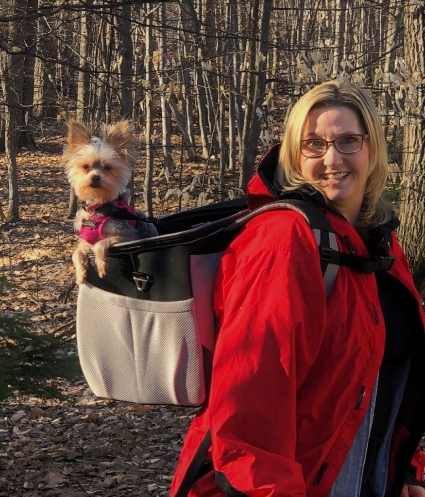 Keep Your Dog Safe On The Trail
