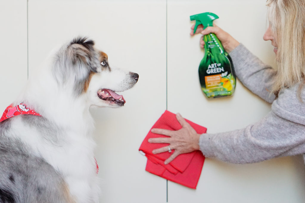 dog next to woman cleaning cupboards with art of green cleaning spray