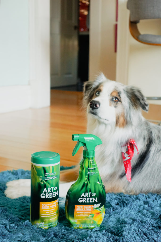 dog sitting next to art of green cleaning products