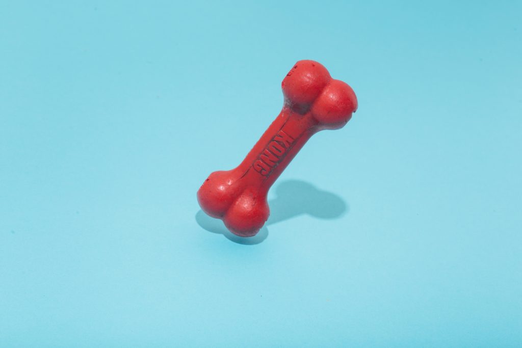 red kong dog toy on blue background