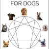 enneagram diagram with dog faces and caption "the enneagram for dogs, dog friendly san antonio