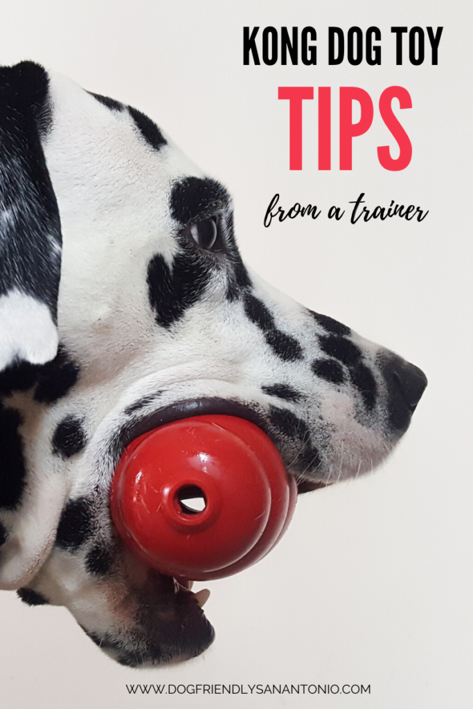 dalmatian dog holding kong toy in mouth caption reads "kong dog toy tips from a trainer"