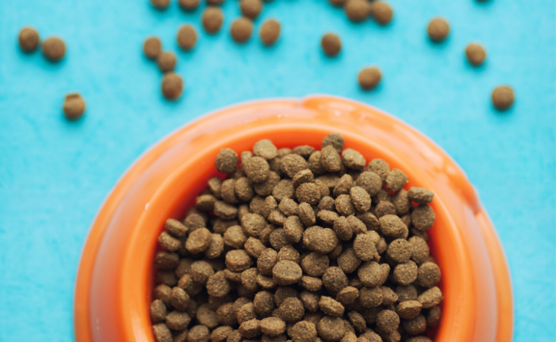 orange bowl of dog food on blue floor with food spilled, caption reads "tips & tricks to slow down dogs that eat too fast"