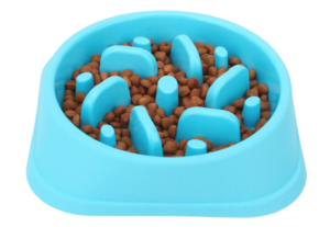 bright blue slow feeder dog bowl with food inside