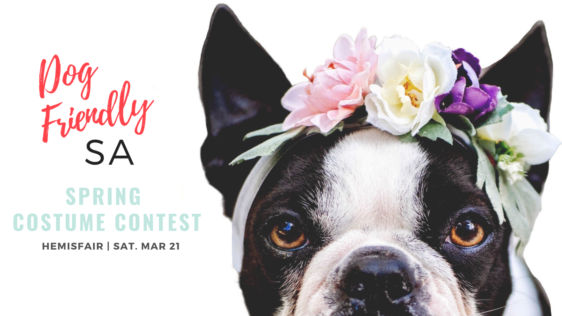 dog-friendly-san-antonio-spring-costume-contest-hemisfair