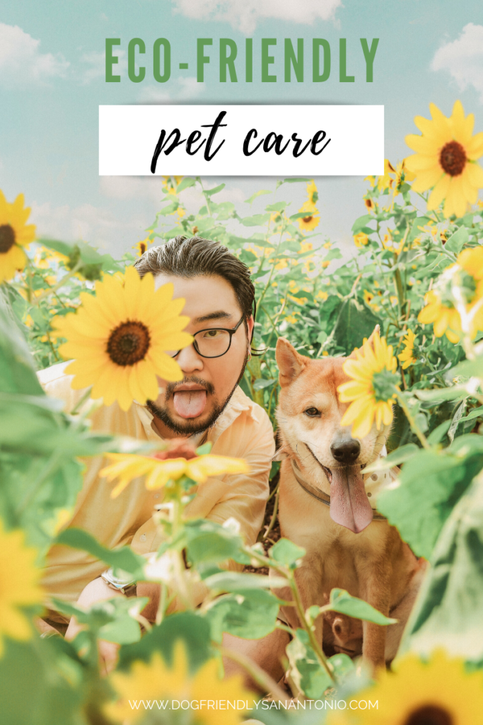 funny man and dog sticking tongues out in field of sunflowers text reads "eco-friendly pet care"