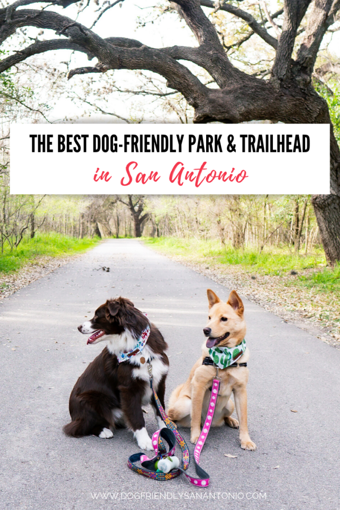 https://dogfriendlysanantonio.com/wp-content/uploads/2020/03/oakwell-park-trailhead-greenway-trails-san-antonio-text-683x1024.png