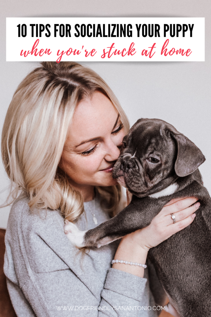 woman holding puppy caption reads "10 tips for socializing your puppy when you're stuck at home"