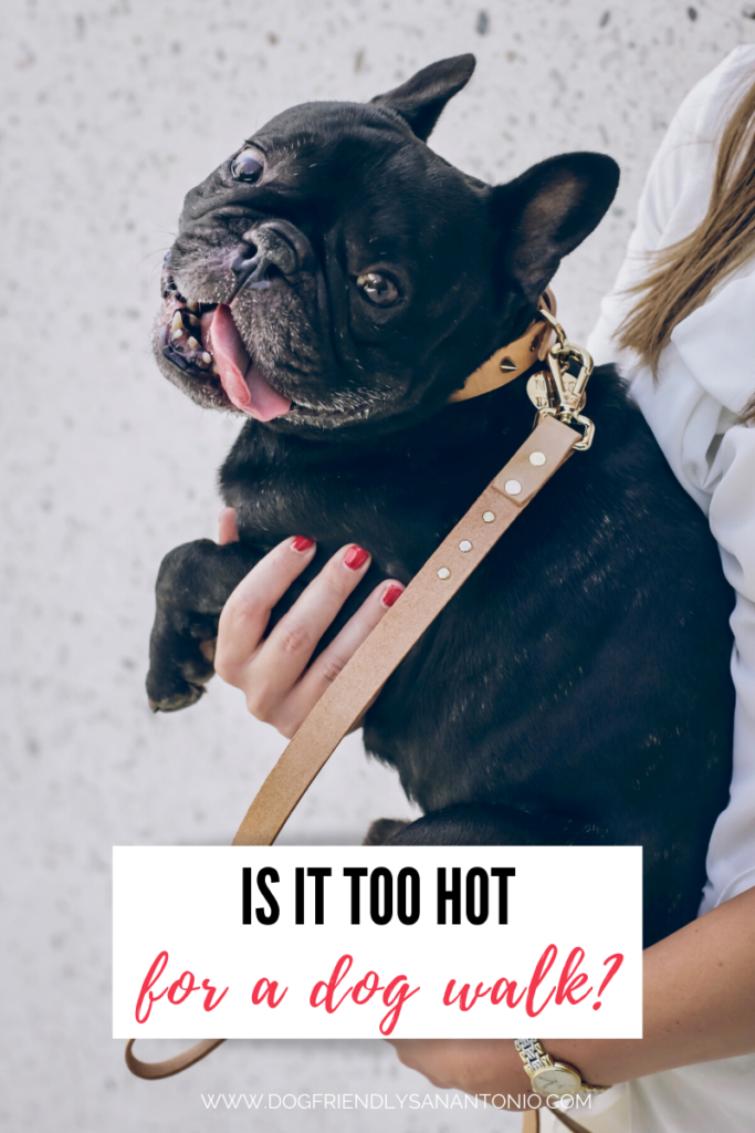 dog on leash with tongue hanging out, caption reads "is it too hot for a dog walk?"