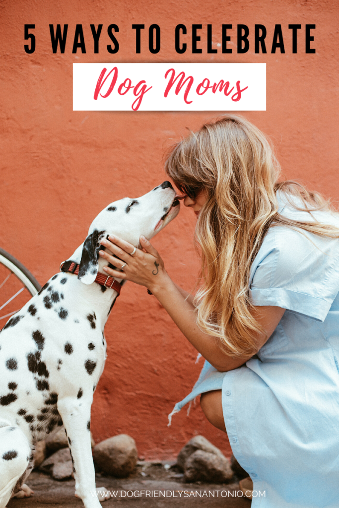 adult dalmatian dog licking woman's face, caption reads "5 ways to celebrate dog moms"