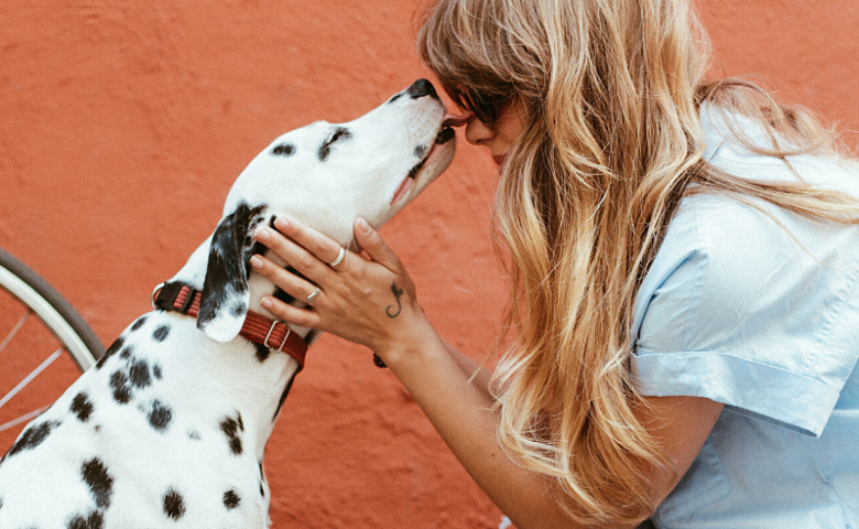 adult dalmatian dog licking woman's face, caption reads "5 ways to celebrate dog moms"