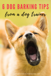 close up of dog parking, caption reads "6 dog barking tips from a dog trainer"