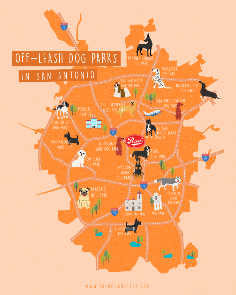 The 17 Best Off-Leash Dog Parks in San Antonio (2022) - The Dog Guide