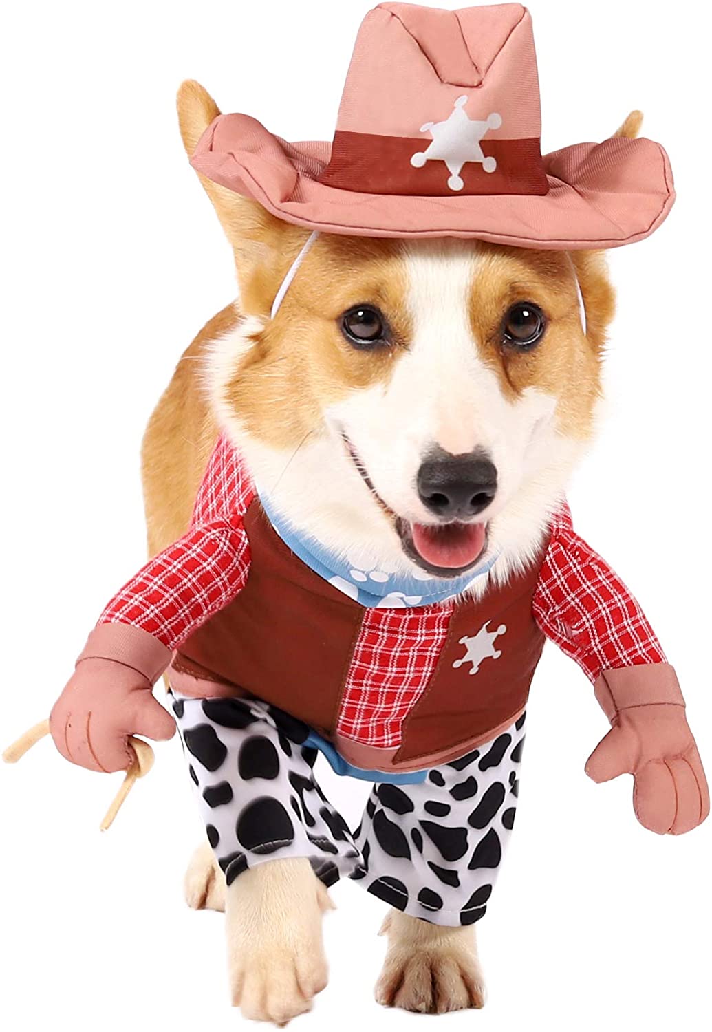 Dog Halloween Costumes for 2020 - The Dog Guide San Antonio