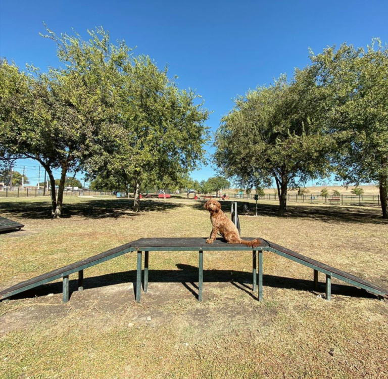 The 15 Best Off-Leash Dog Parks in San Antonio (2021) - Dog Friendly