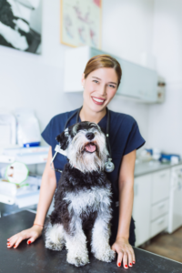 female dog chiropractor vet with happy dog on table
