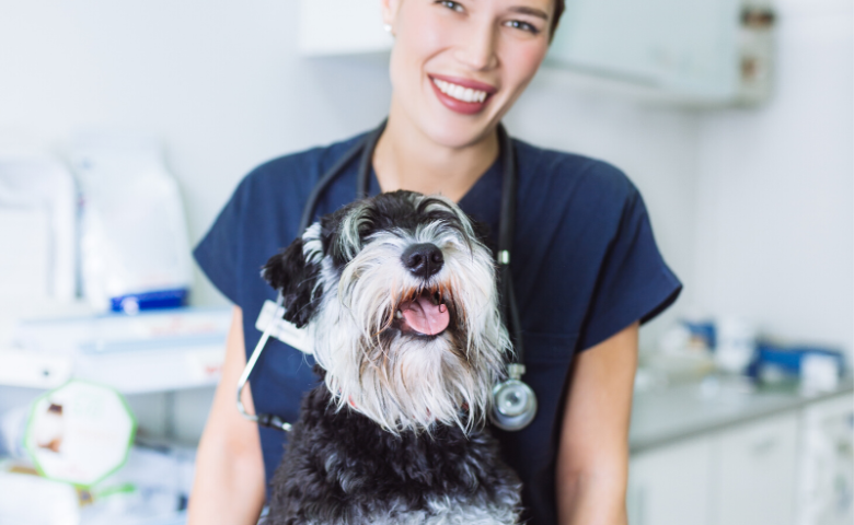 female dog chiropractor vet with happy dog on table