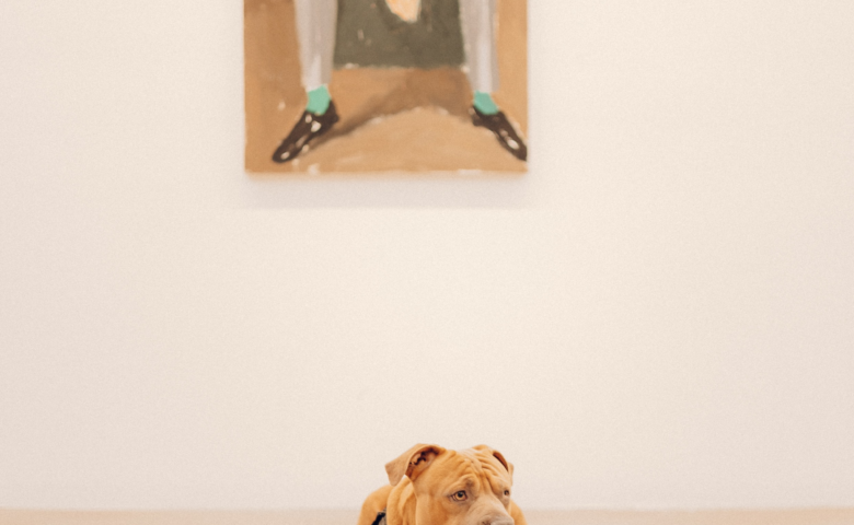 Pitbull laying on floor at an art gallery.