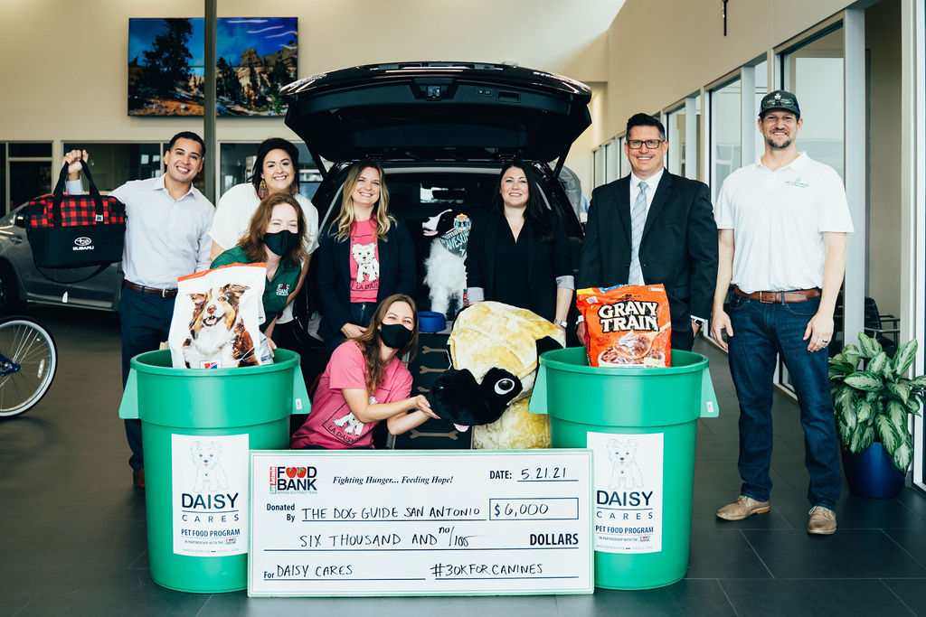 the dog guide san antonio 30k for canines group at north park subaru with giant check for daisy cares donation