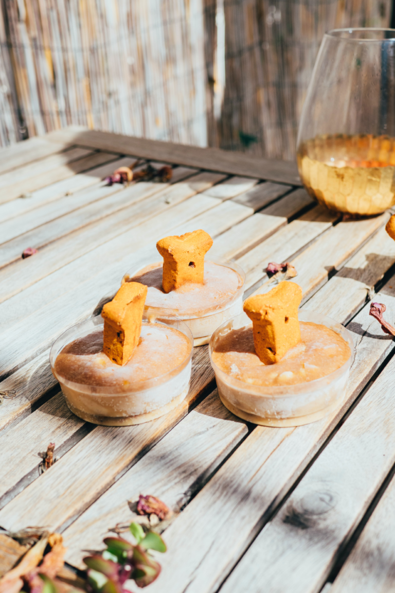 A table with 3 homemade frozen dog treats with a milkbone in the center