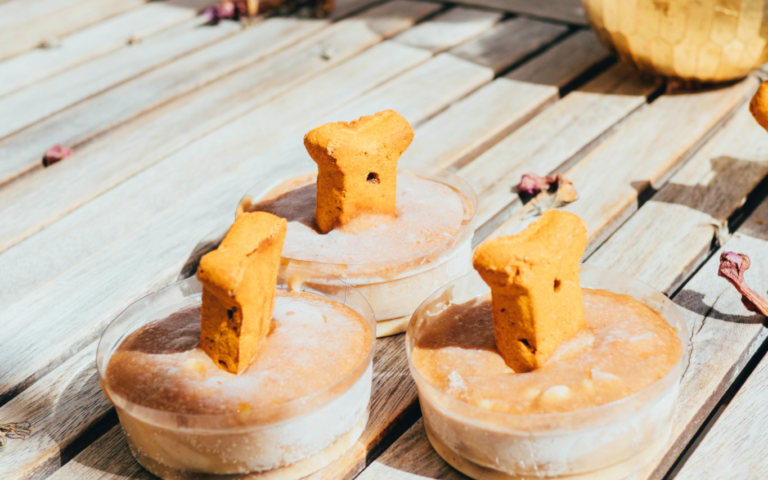 A table with 3 homemade frozen dog treats with a milkbone in the center