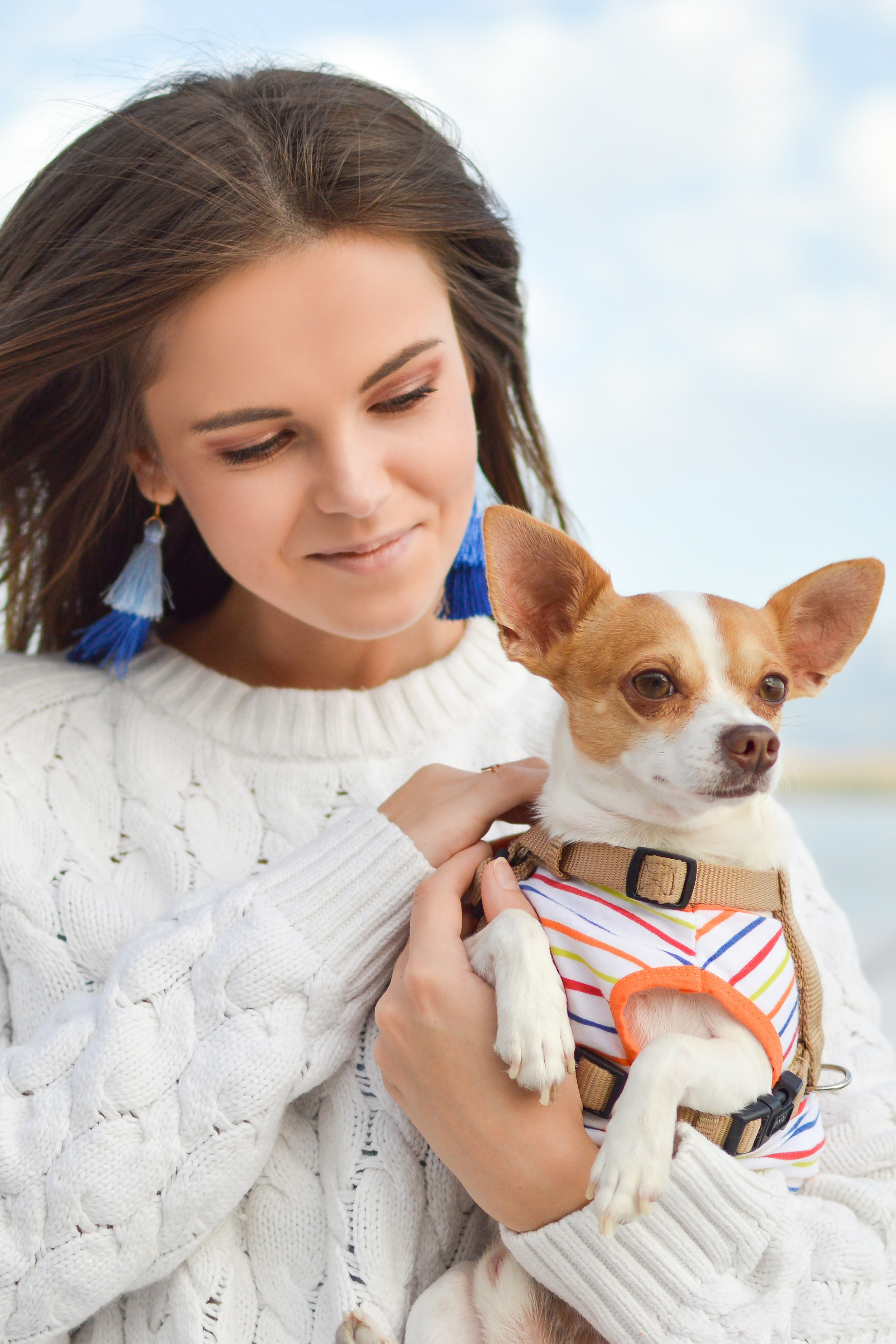 Woman in white sweater holds a Chihuahua, wearing a dog sweater and harness.