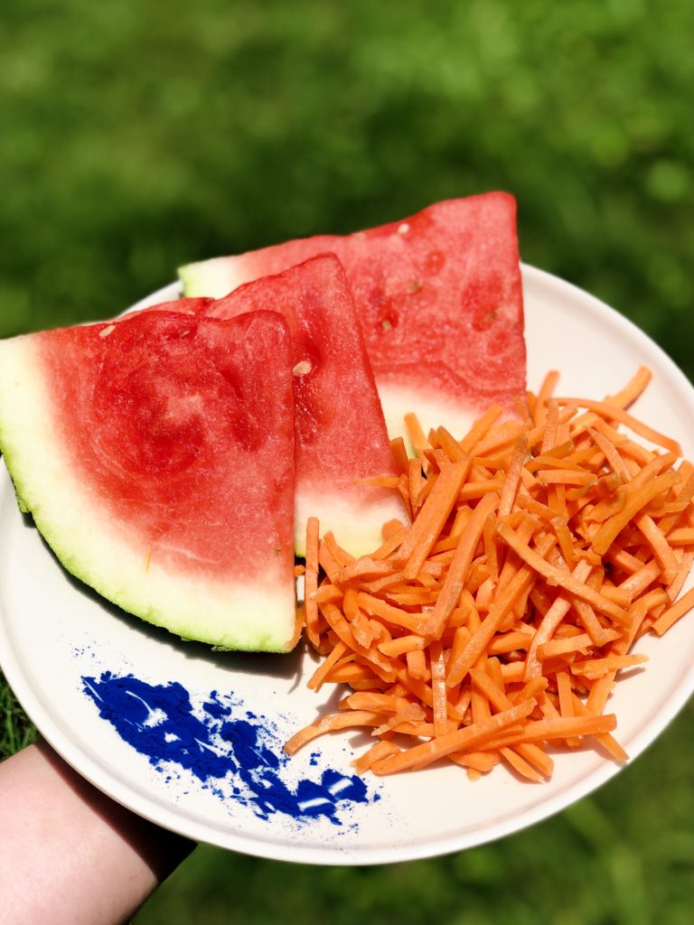 Plate of watermelong and carrots, ingredients in puppy paletas
