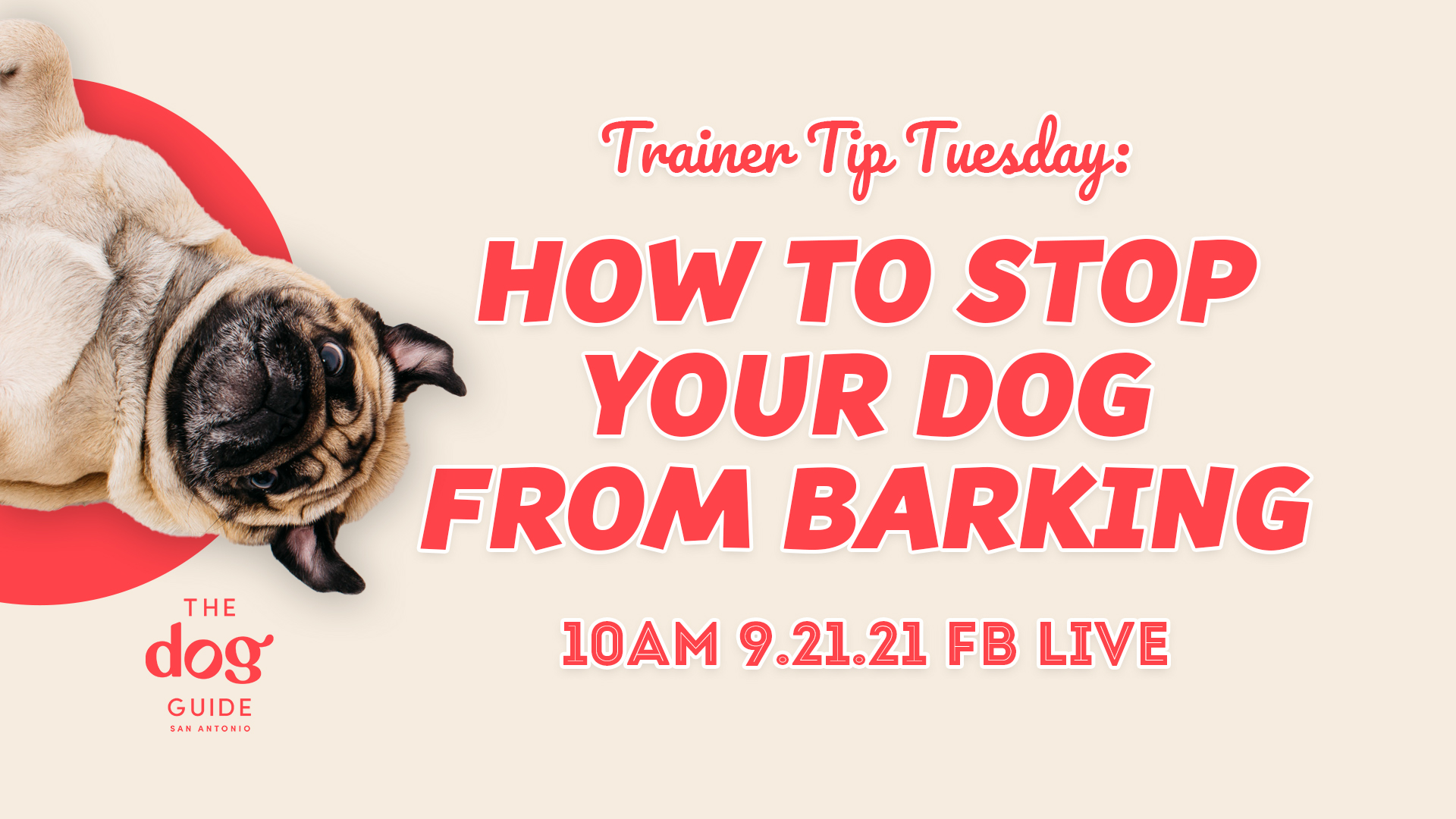 text reads: how to stop your dog from barking