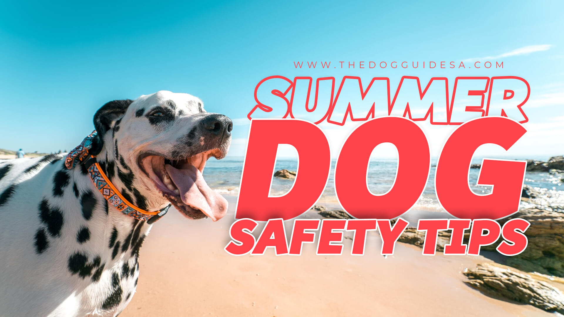 dalmatian on beach with blue sky above, main text reads "summer dog safety tips"