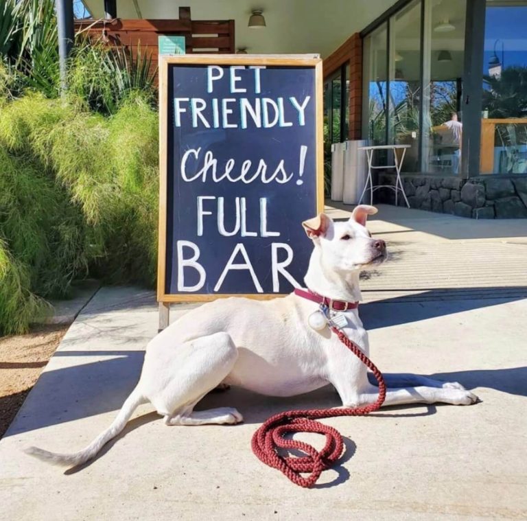 the good kind southtown 4 768x759