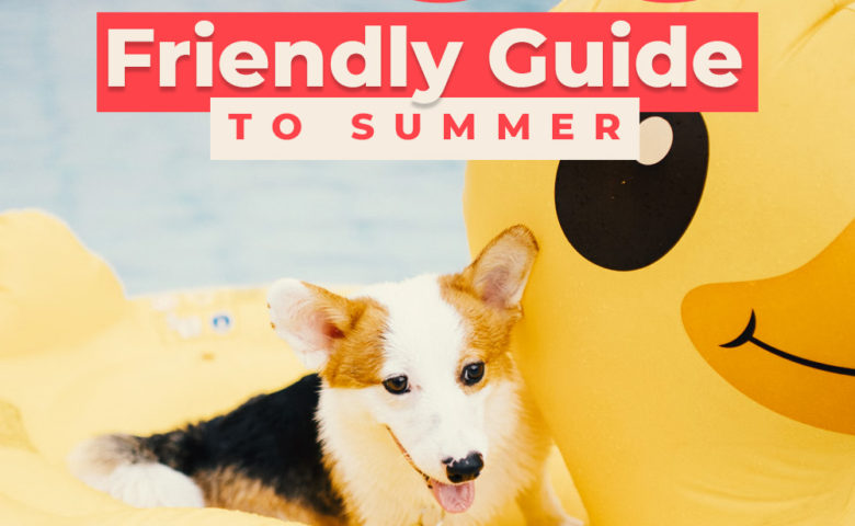 corgi sitting on large rubber duck pool floatie in pool, text overlay reads 'dog friendly guide to summer in san antonio"