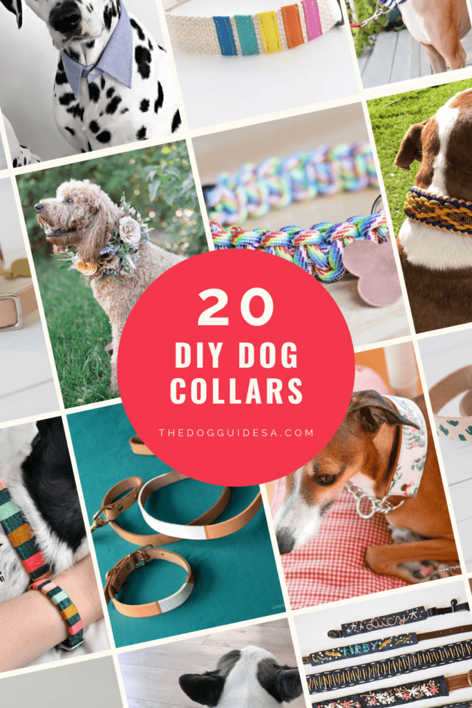 slanted grid collage of dog collars, text on red circle overlay reads "20 DIY Dog Collars | thedogguidesa.com"