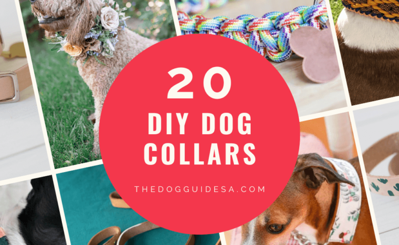 slanted grid collage of dog collars, text on red circle overlay reads "20 DIY Dog Collars | thedogguidesa.com"
