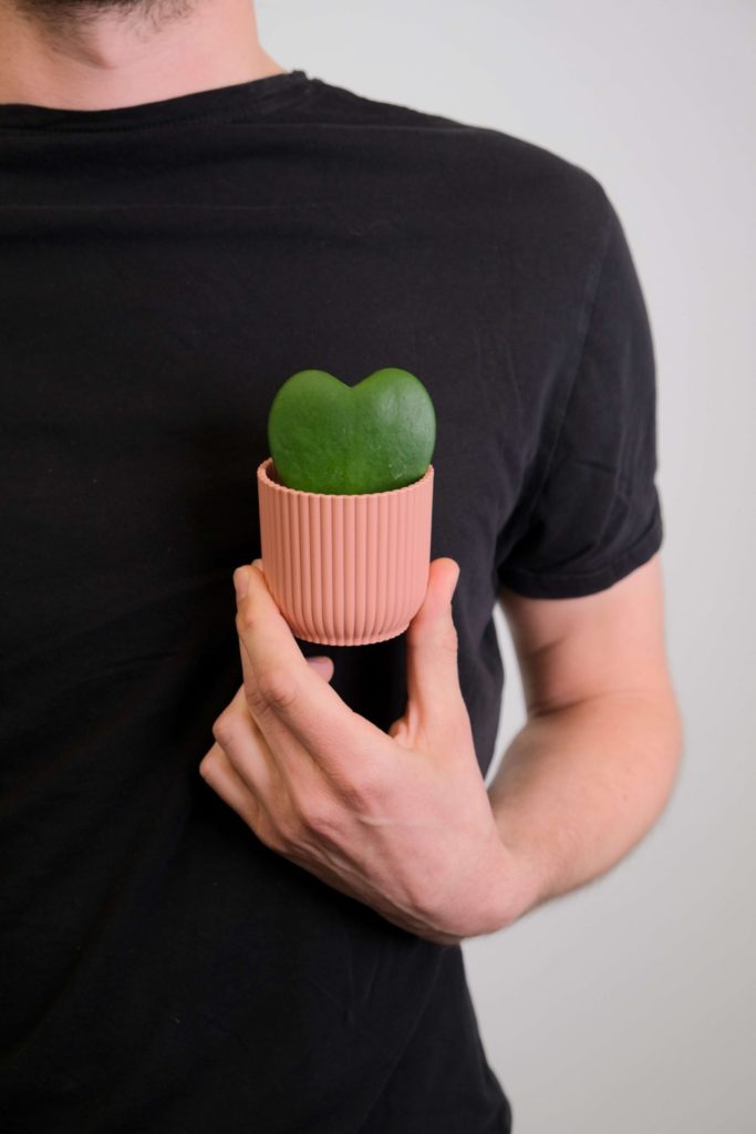 man in black shirt holding small terra cotta pot with heart shaped Hoya Kerrii plant in front of his heart