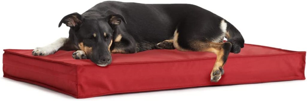 9 of the Best Chew-Proof Dog Beds, According to Reviewers and Pet Owners