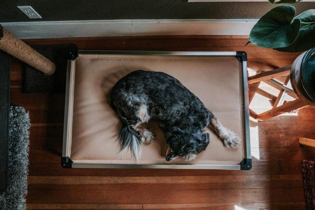 Chew-Proof Dog Beds  Tear-Resistant Dog Beds for Sale