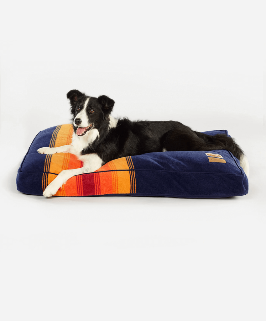 The 17 Best Durable Dog Beds - The Dog Guide San Antonio