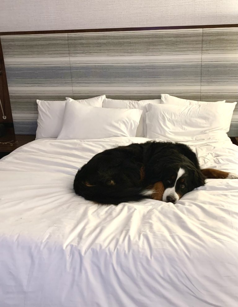 MicrosoftTeams image 11 2 768x993