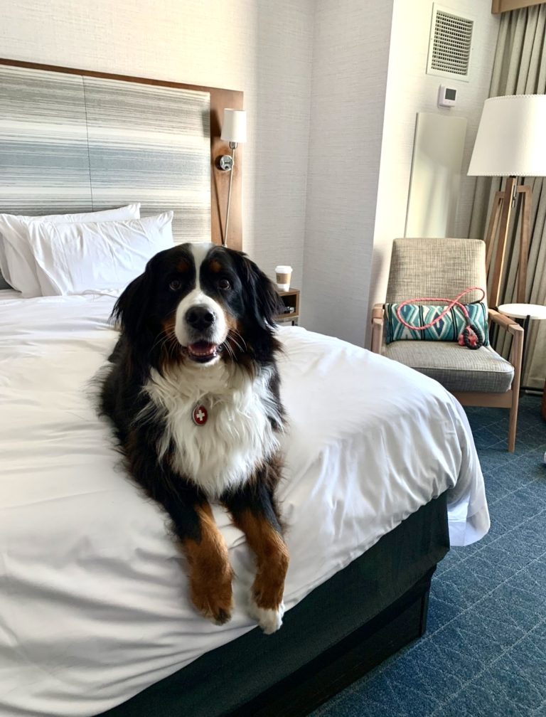 MicrosoftTeams image 12 1 768x1008