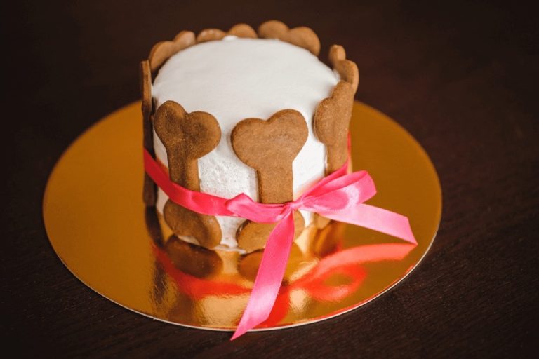 dog bakery in san antonio 768x512