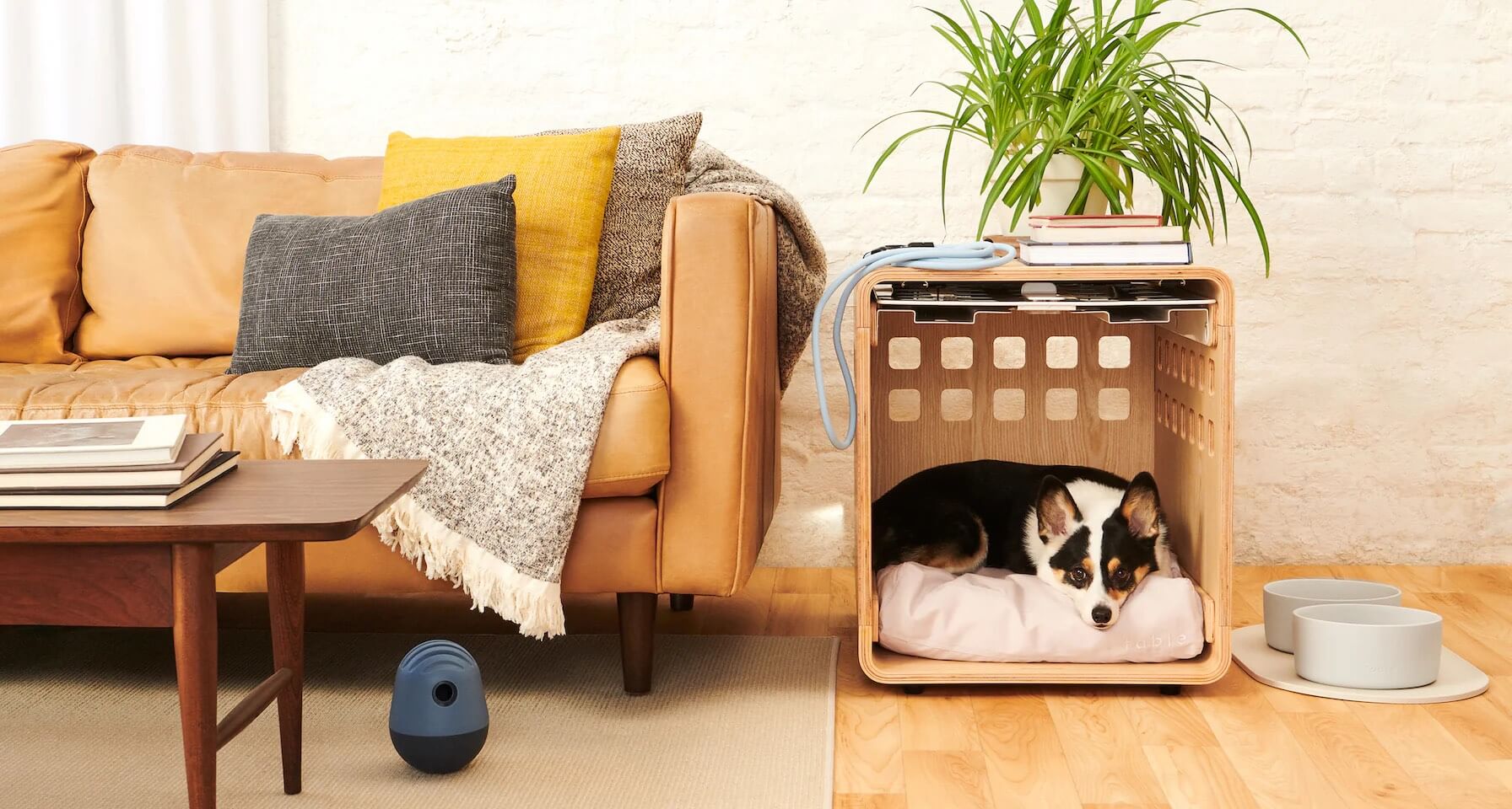 https://dogfriendlysanantonio.com/wp-content/uploads/2023/07/fable-dog-crate-in-living-room.jpeg