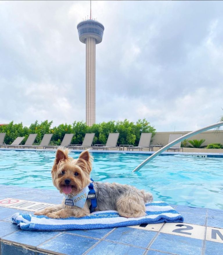 REPOST The mister bunny 768x875