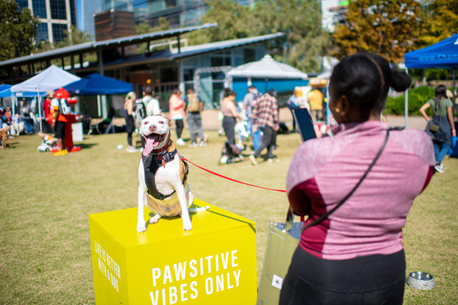 Puptopia Festival The Dog Guide San Antonio