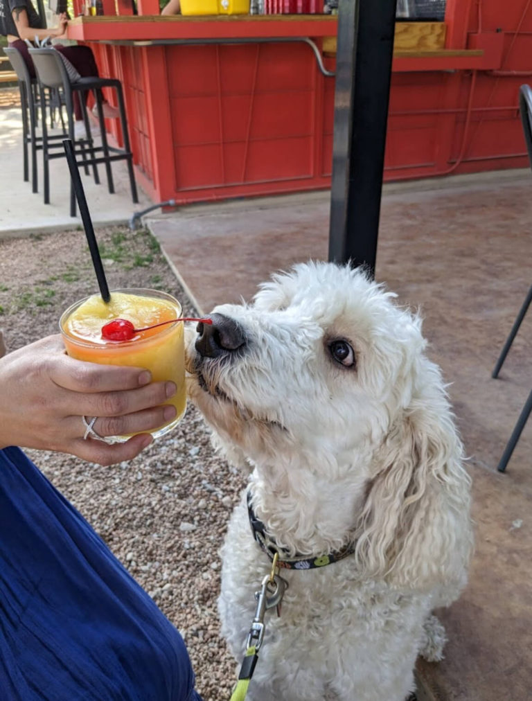 wurst behavior 1 768x1012