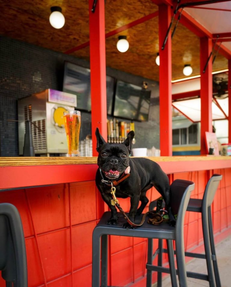 wurst behavior 3 768x952