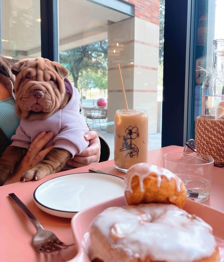 Photo Jan 12 6 47 52 PM 1 768x896