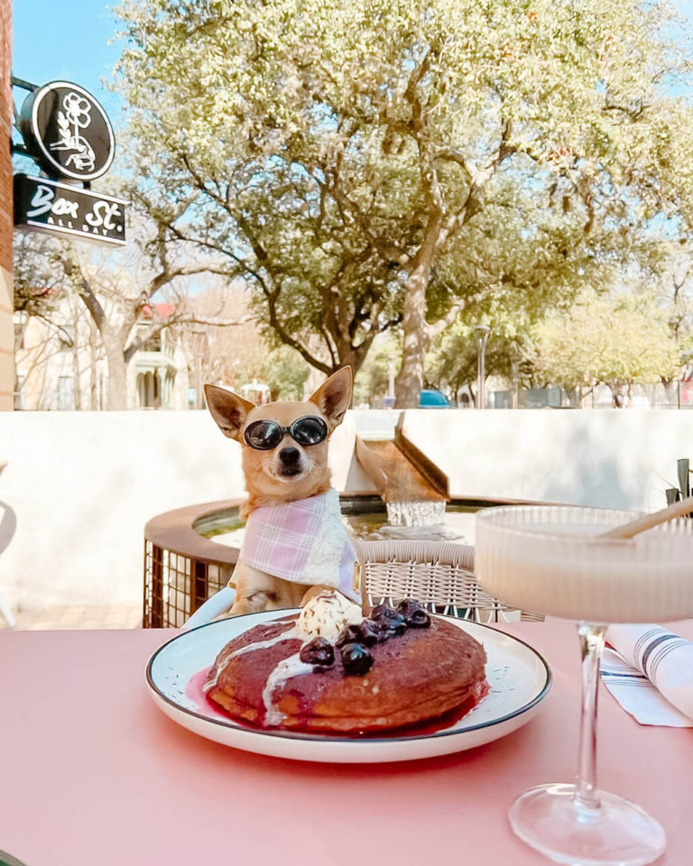 Photo Mar 03 8 56 40 PM 1 768x960