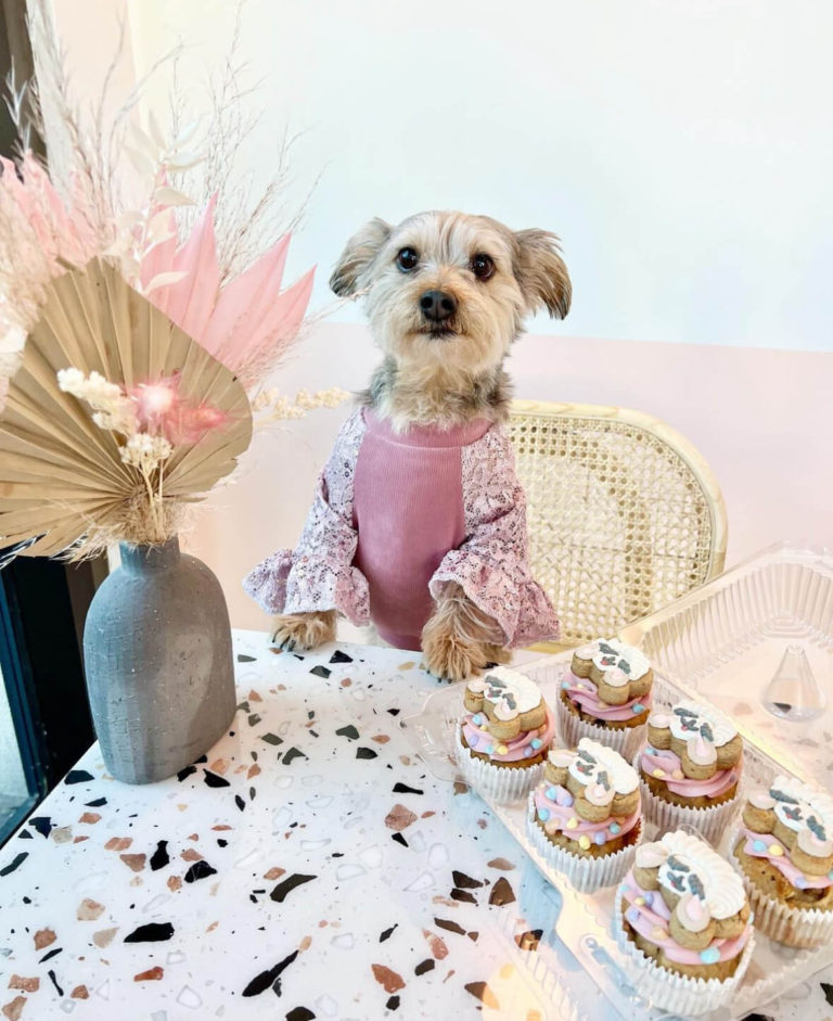 Photo Nov 10 2023 5 05 07 PM 768x941